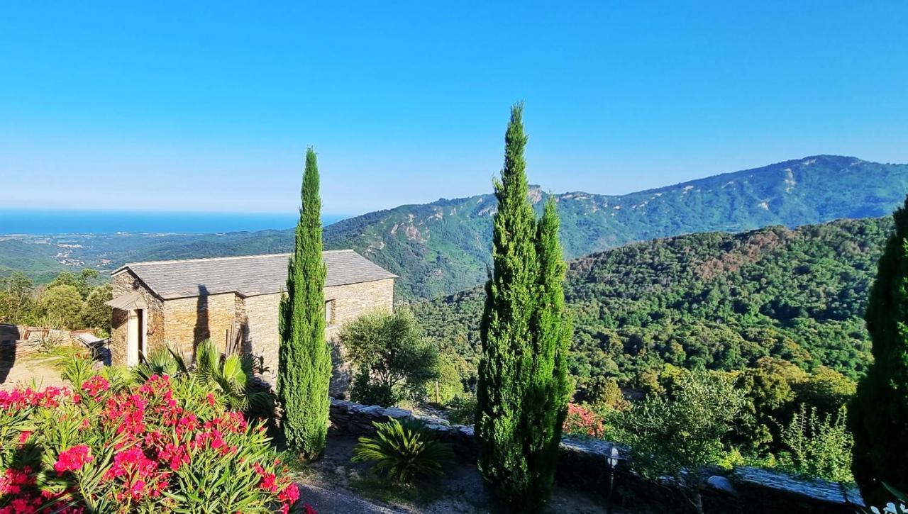 Domaine Colonna-Santini, Gite Piscine, Sauna, Spa Porri Ngoại thất bức ảnh