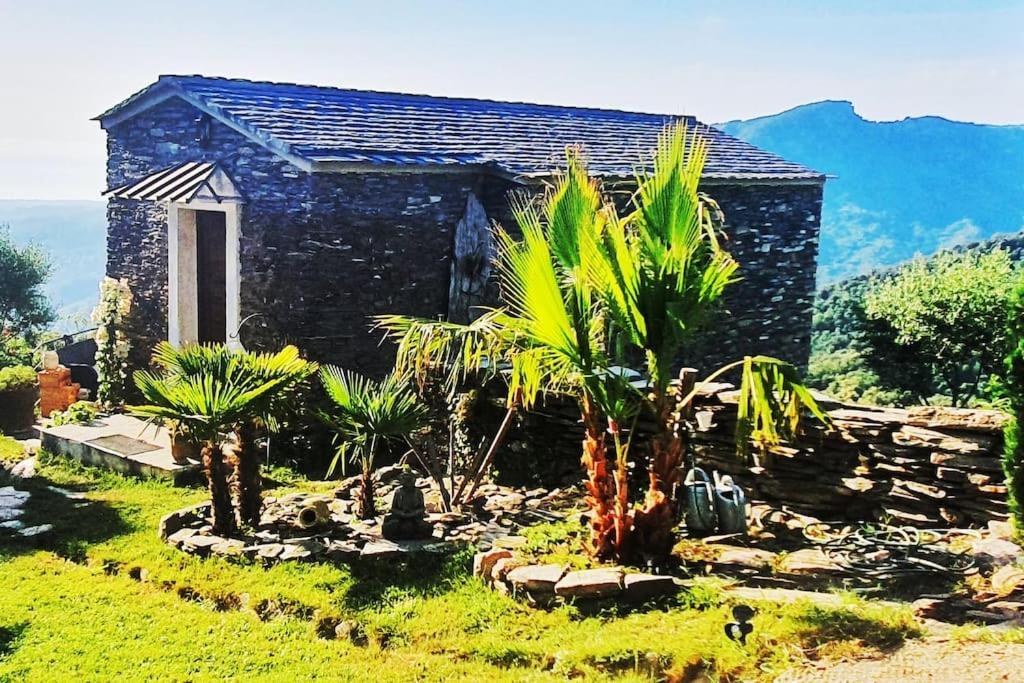 Domaine Colonna-Santini, Gite Piscine, Sauna, Spa Porri Ngoại thất bức ảnh